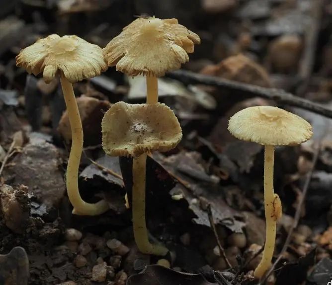 圖片關(guān)鍵詞