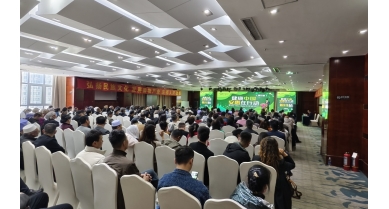 專(zhuān)題報(bào)道