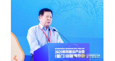 行業(yè)動(dòng)態(tài)