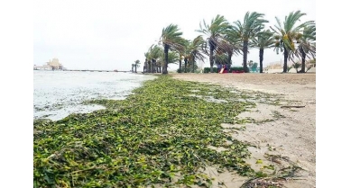 行業(yè)動態(tài)